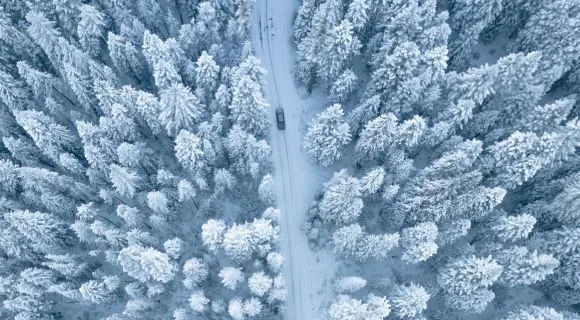A bird's eye view of a snowy forest